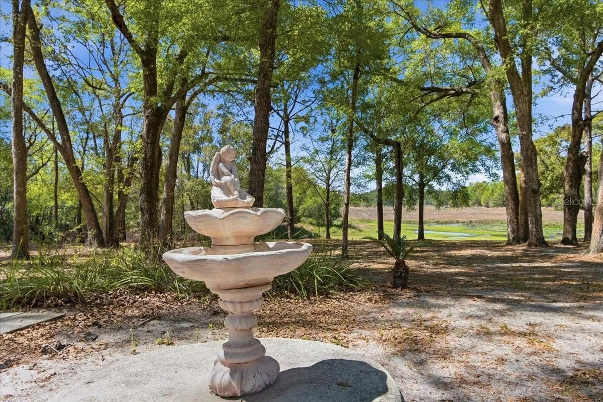 31325 Prestwick Avenue Sorrento FL 32776
