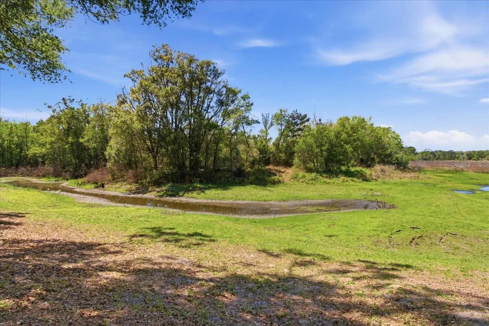 31325 Prestwick Avenue Sorrento FL 32776