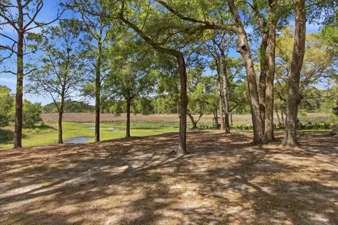 31325 Prestwick Avenue Sorrento FL 32776