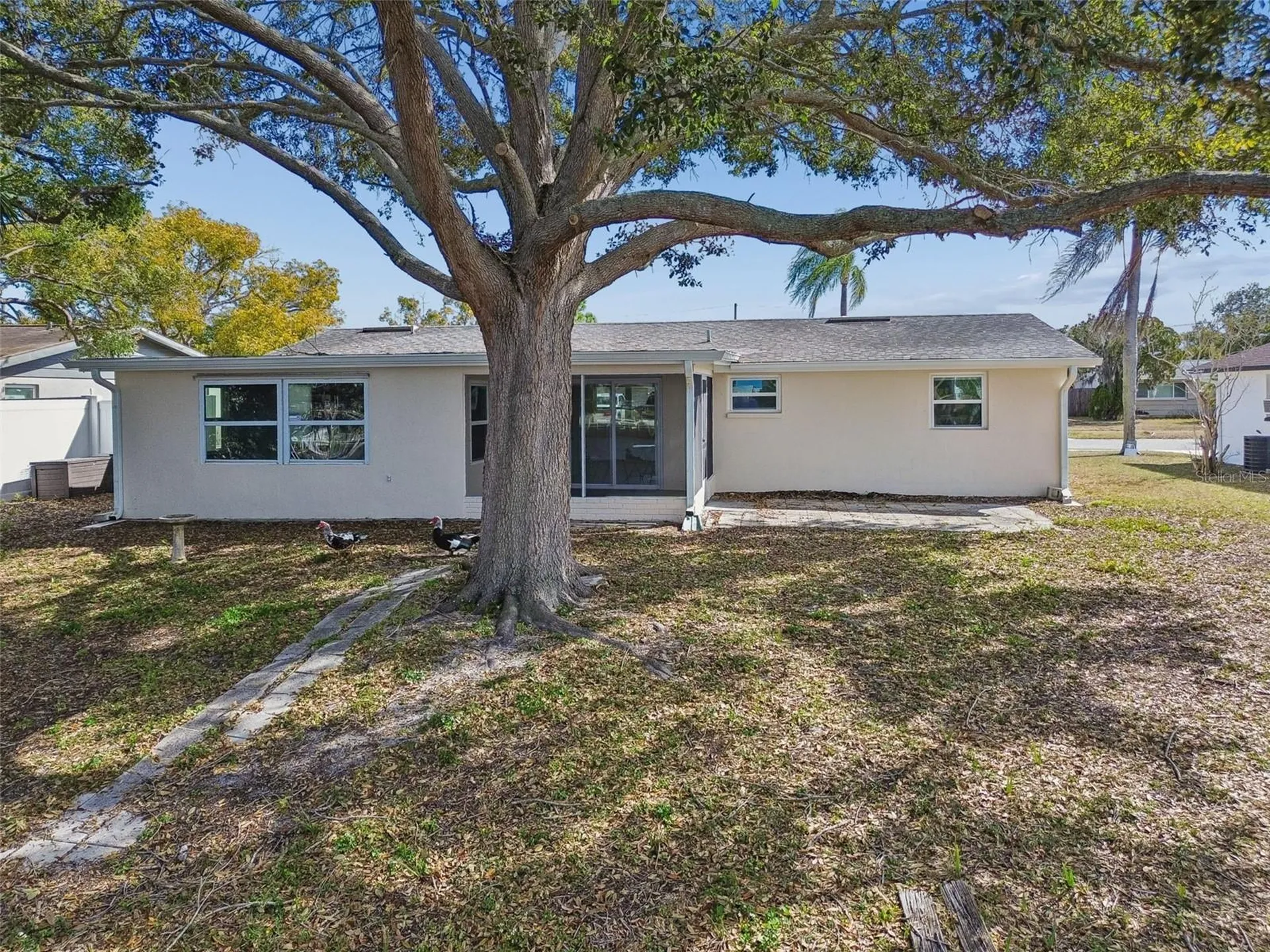 1147 Rushmore Drive Holiday FL 34690