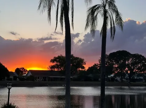 123 Wintersong Lane Sun City Center FL 33573