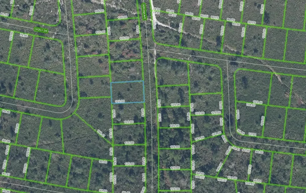 4055 Gerona Avenue Sebring FL 33872