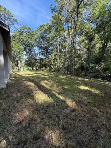 1438 Lake Harney Geneva FL 32732