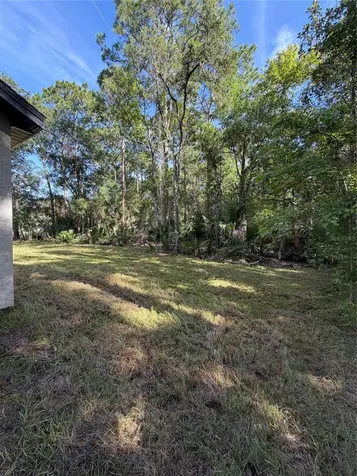 1438 Lake Harney Geneva FL 32732