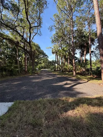1438 Lake Harney Geneva FL 32732