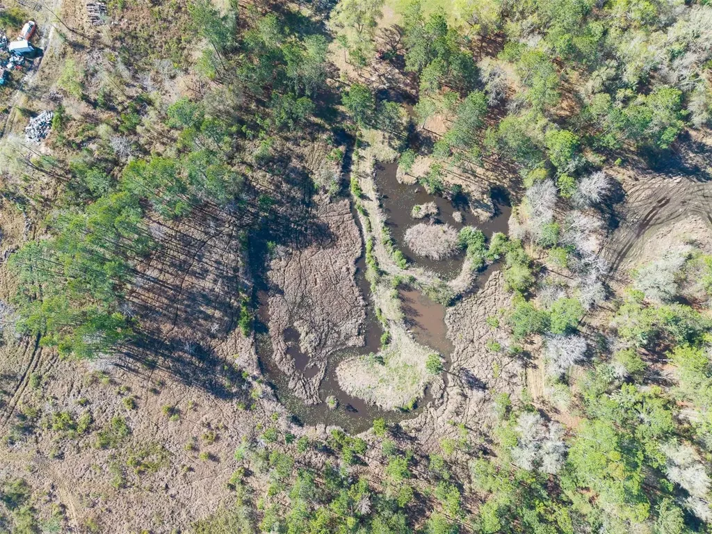 6965 NE 137th Place Citra FL 32113