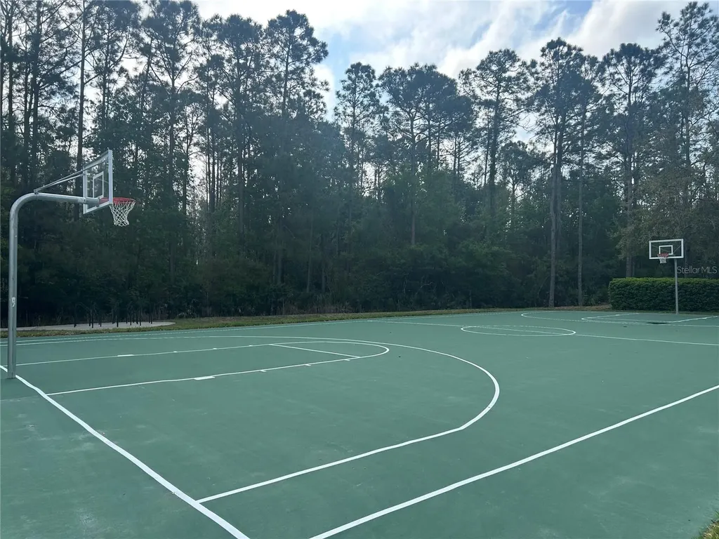 5856 Count Turf Lane Wesley Chapel FL 33544