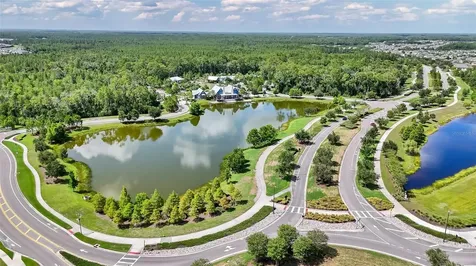 3725 Tea Leaf Alley Land O Lakes FL 34638