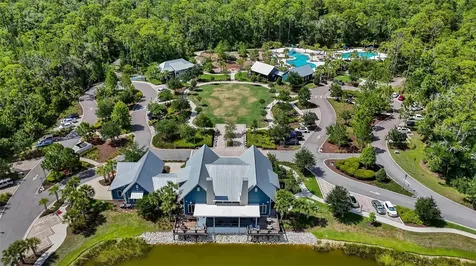 3725 Tea Leaf Alley Land O Lakes FL 34638