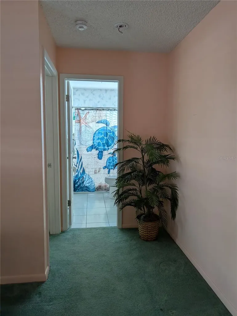 9204 36th Way N Pinellas Park FL 33782