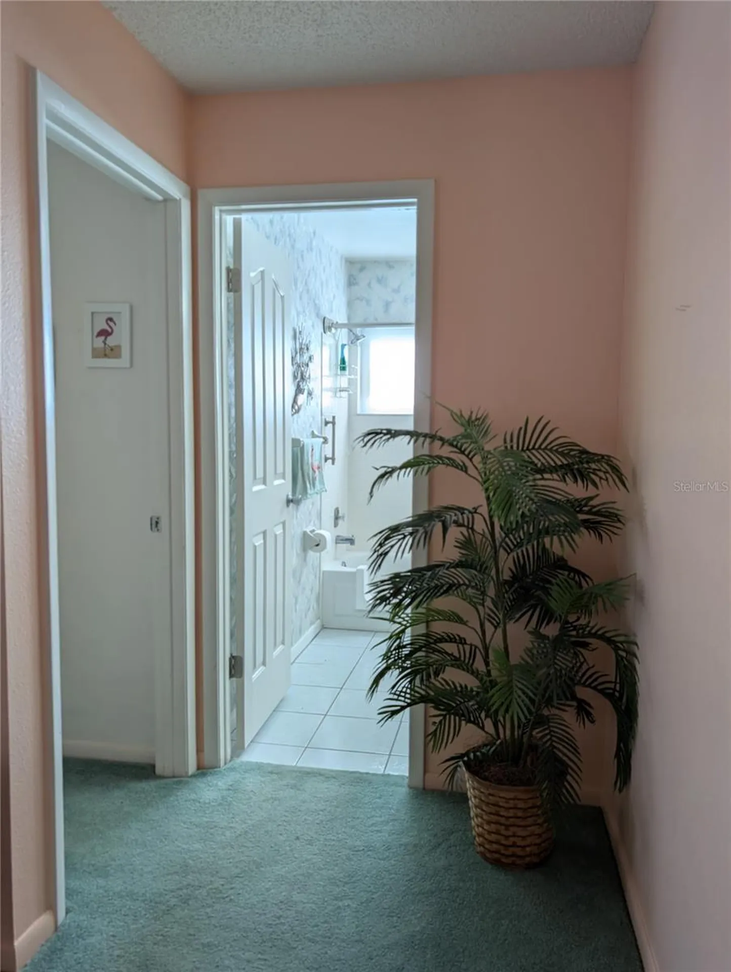 9204 36th Way N Pinellas Park FL 33782