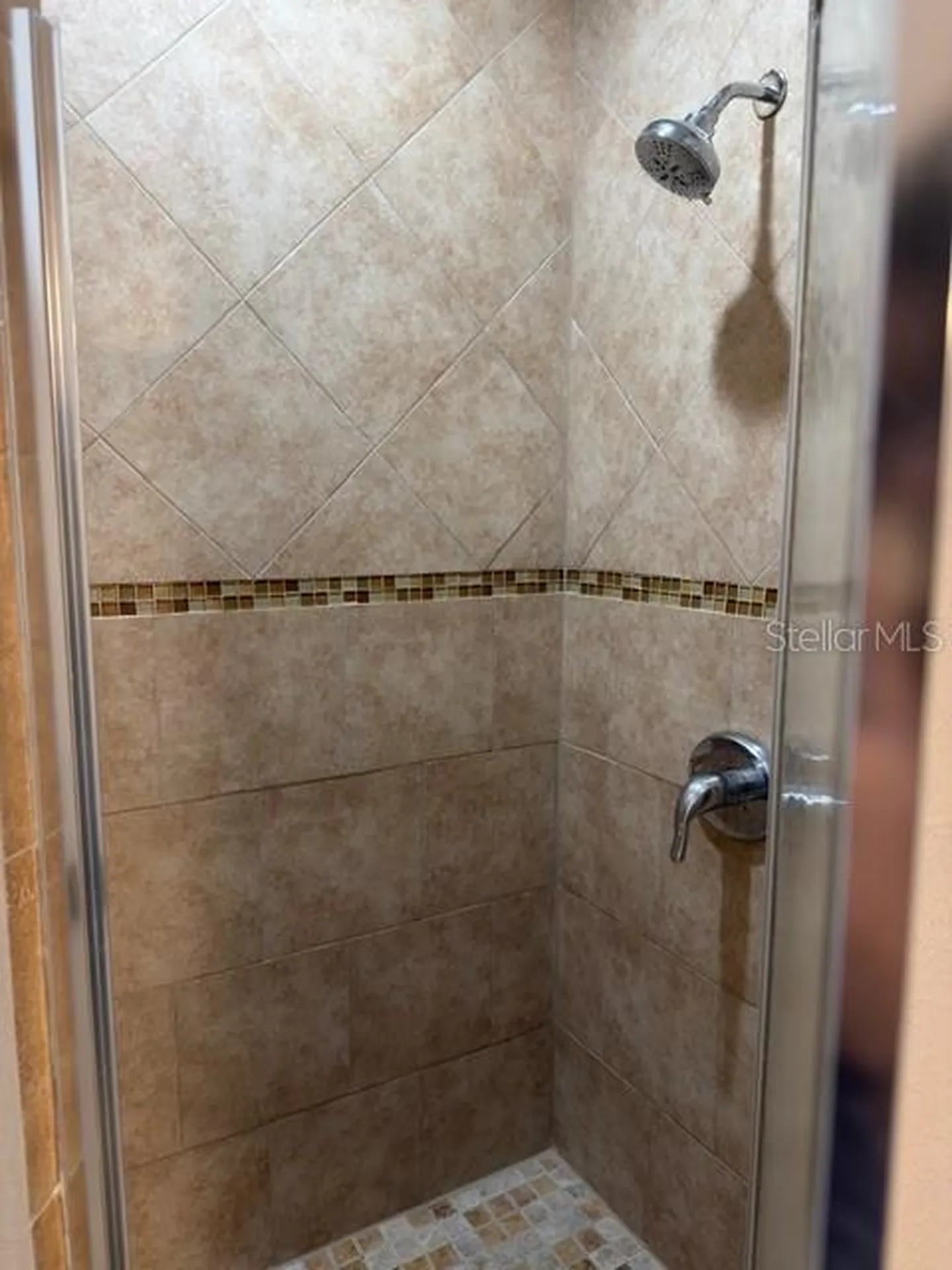 8443 N Grady Avenue Tampa FL 33614