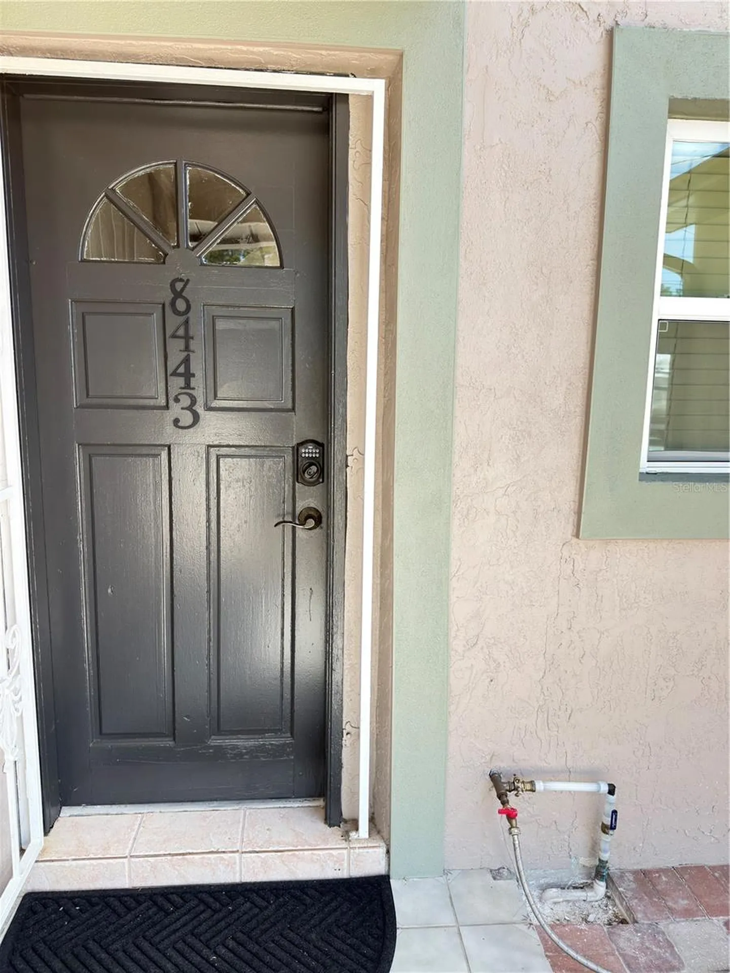8443 N Grady Avenue Tampa FL 33614