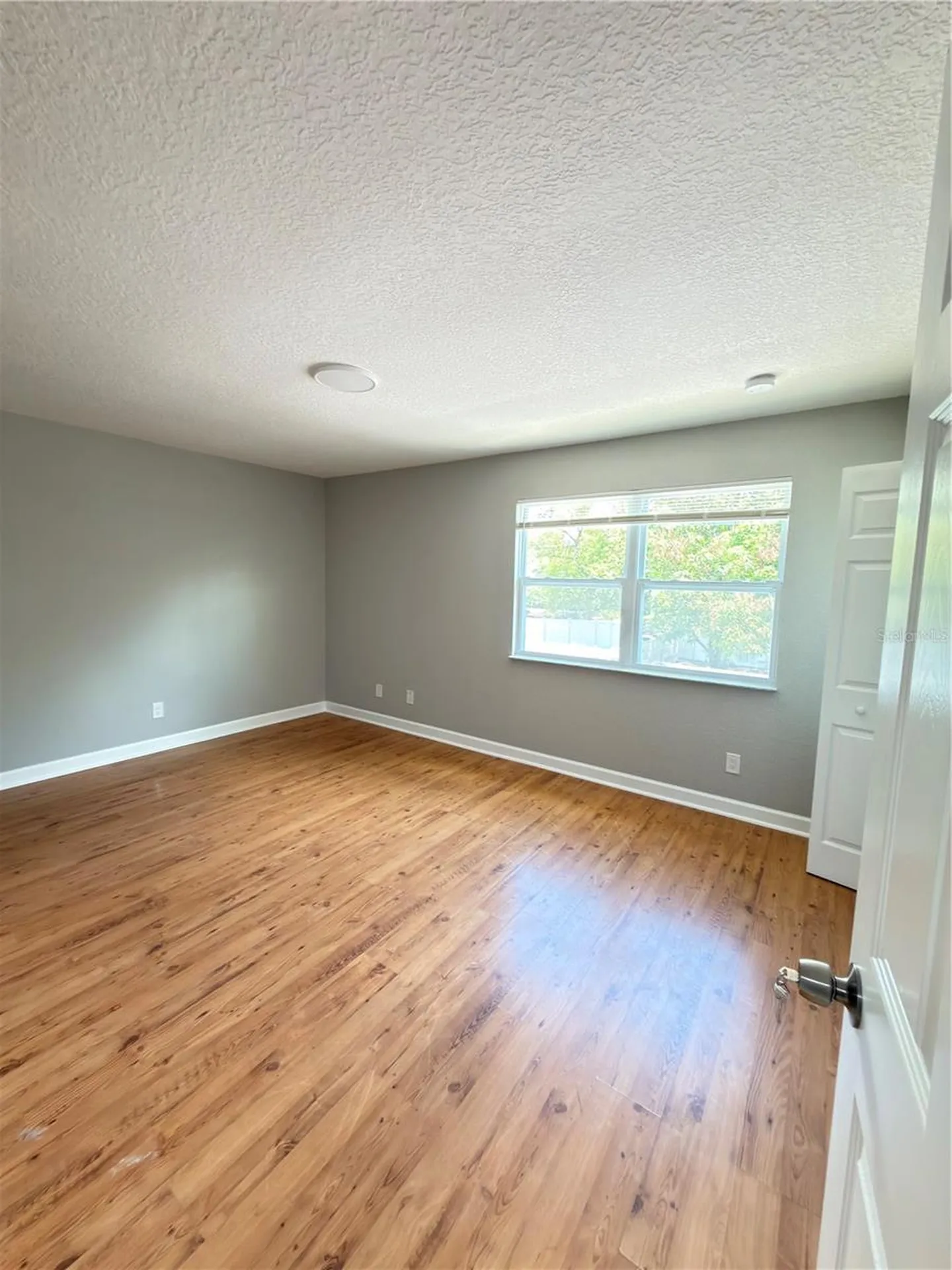 8443 N Grady Avenue Tampa FL 33614