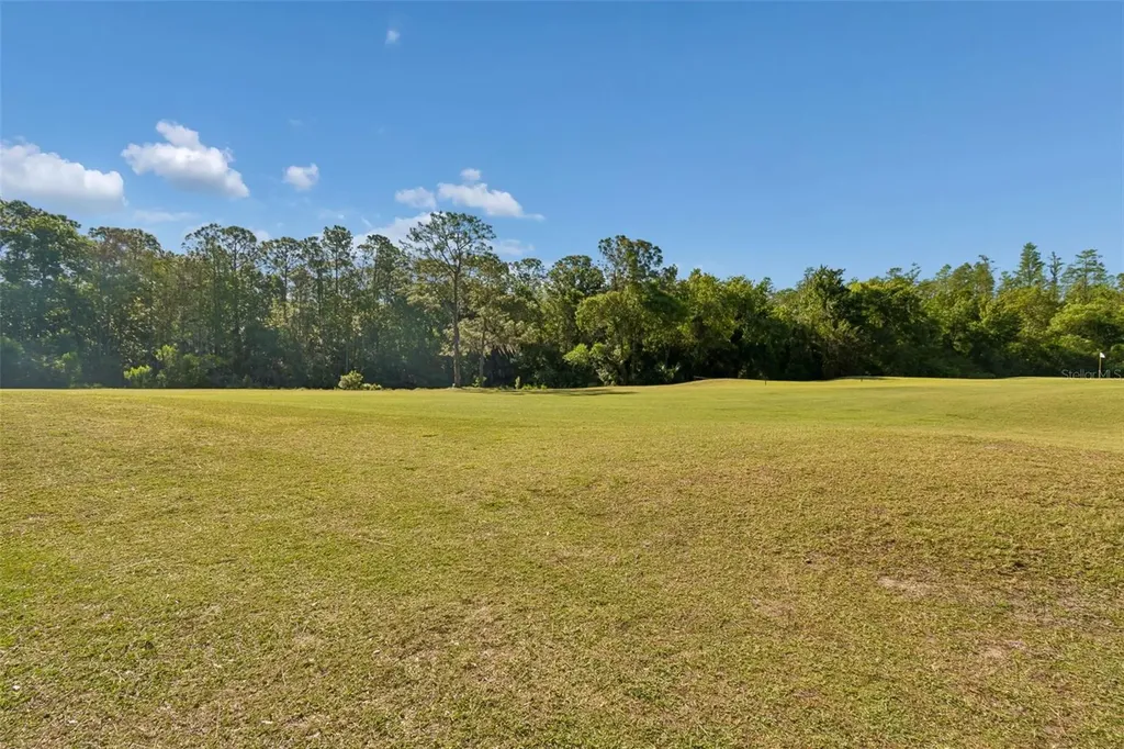 10423 Greenhedges Drive Tampa FL 33626