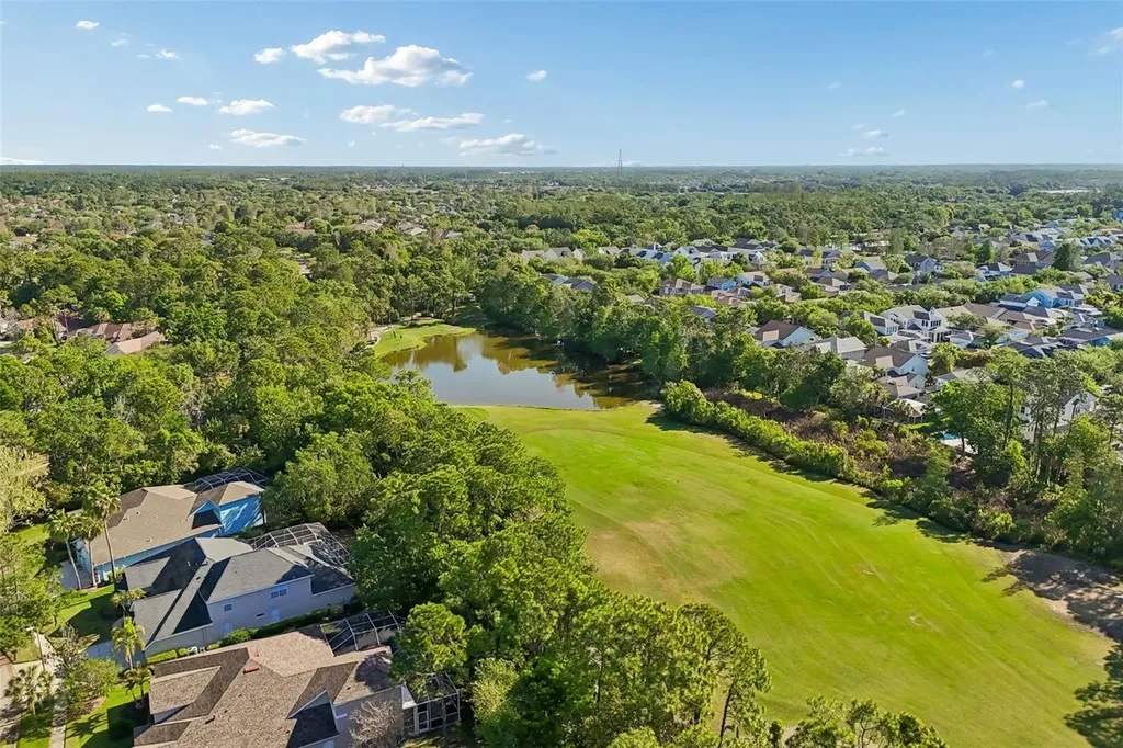 10423 Greenhedges Drive Tampa FL 33626