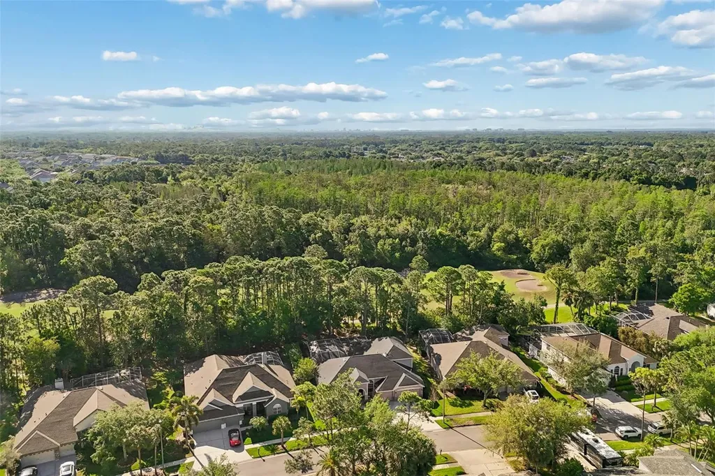 10423 Greenhedges Drive Tampa FL 33626