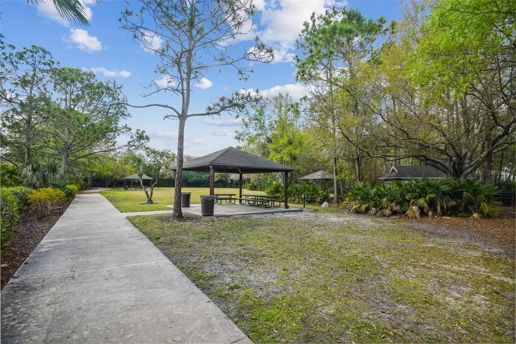 10423 Greenhedges Drive Tampa FL 33626
