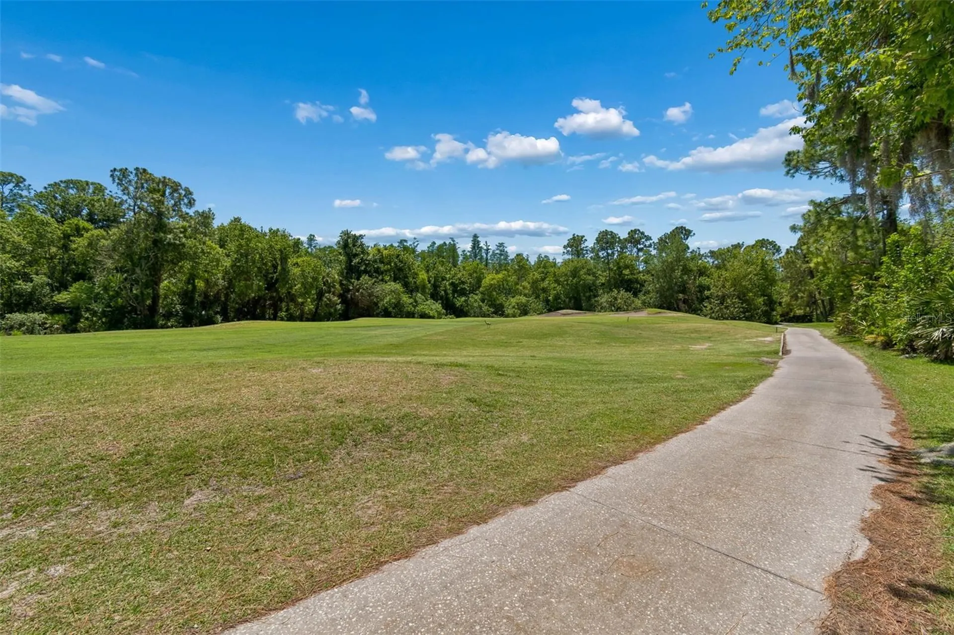 10423 Greenhedges Drive Tampa FL 33626