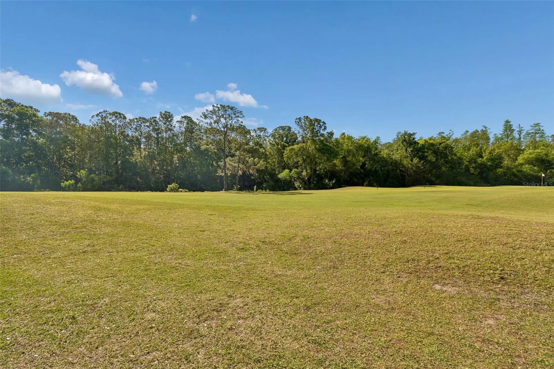 10423 Greenhedges Drive Tampa FL 33626
