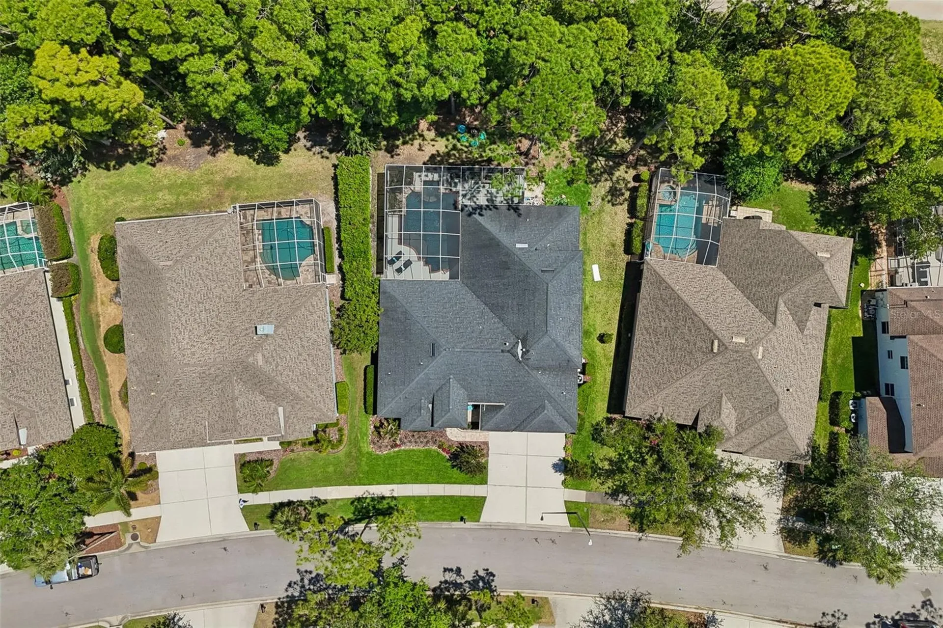 10423 Greenhedges Drive Tampa FL 33626