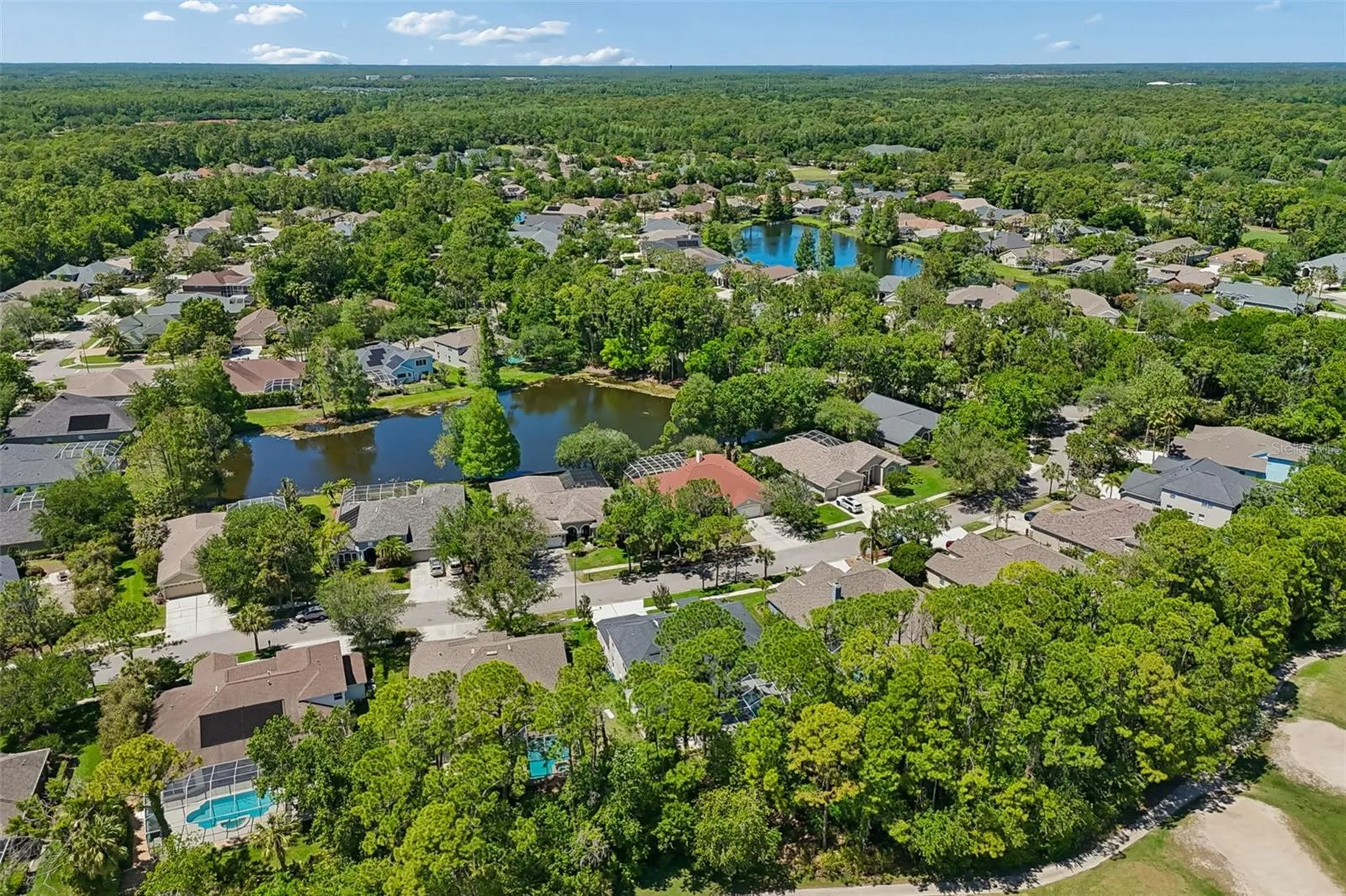 10423 Greenhedges Drive Tampa FL 33626