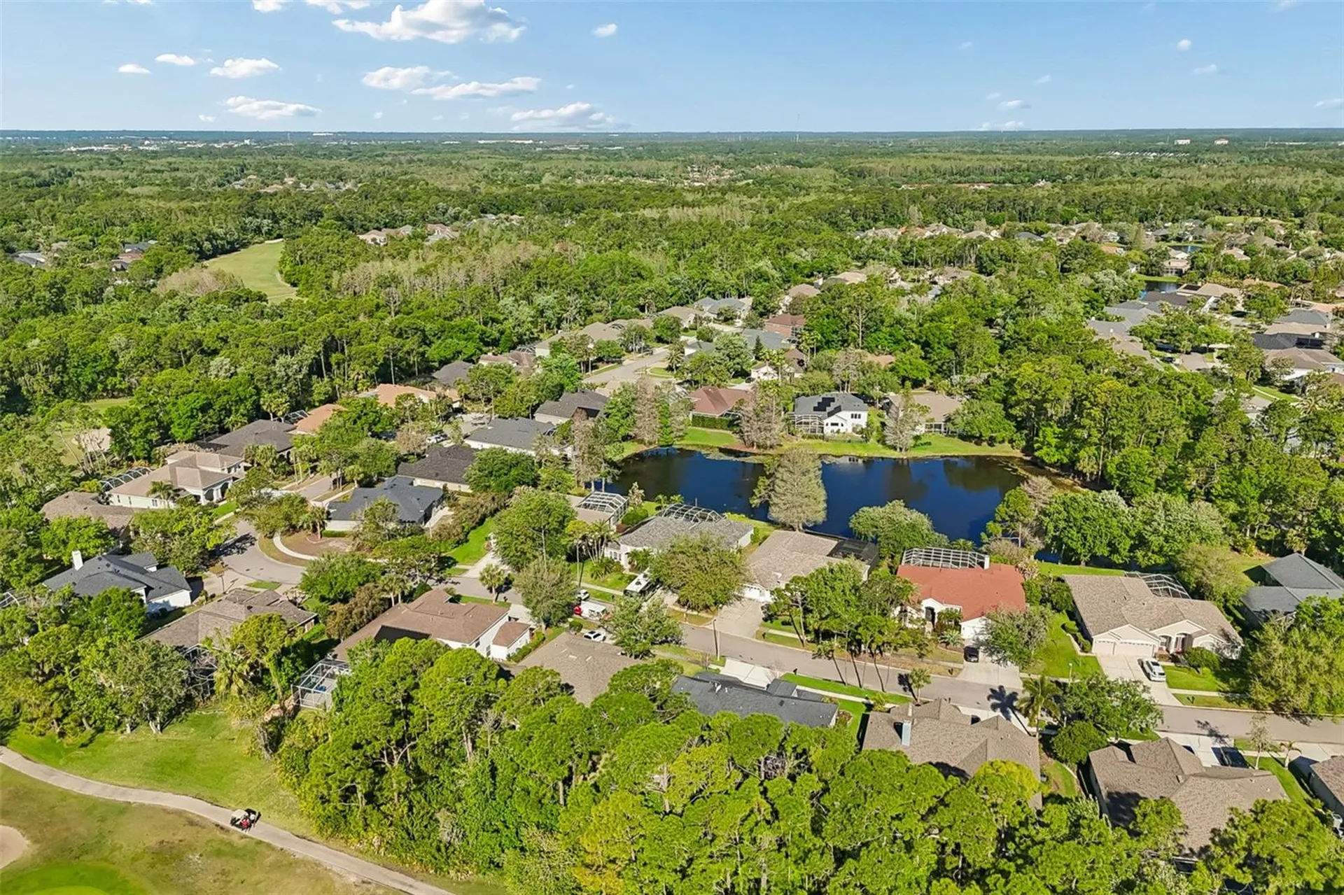 10423 Greenhedges Drive Tampa FL 33626