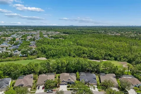 10423 Greenhedges Drive Tampa FL 33626