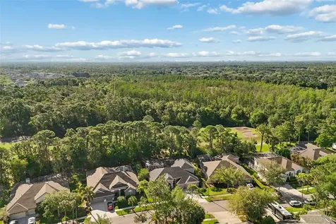 10423 Greenhedges Drive Tampa FL 33626