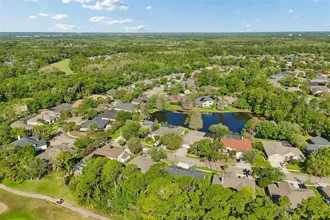 10423 Greenhedges Drive Tampa FL 33626