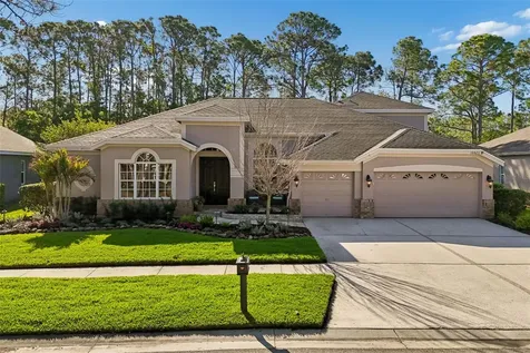 10423 Greenhedges Drive Tampa FL 33626