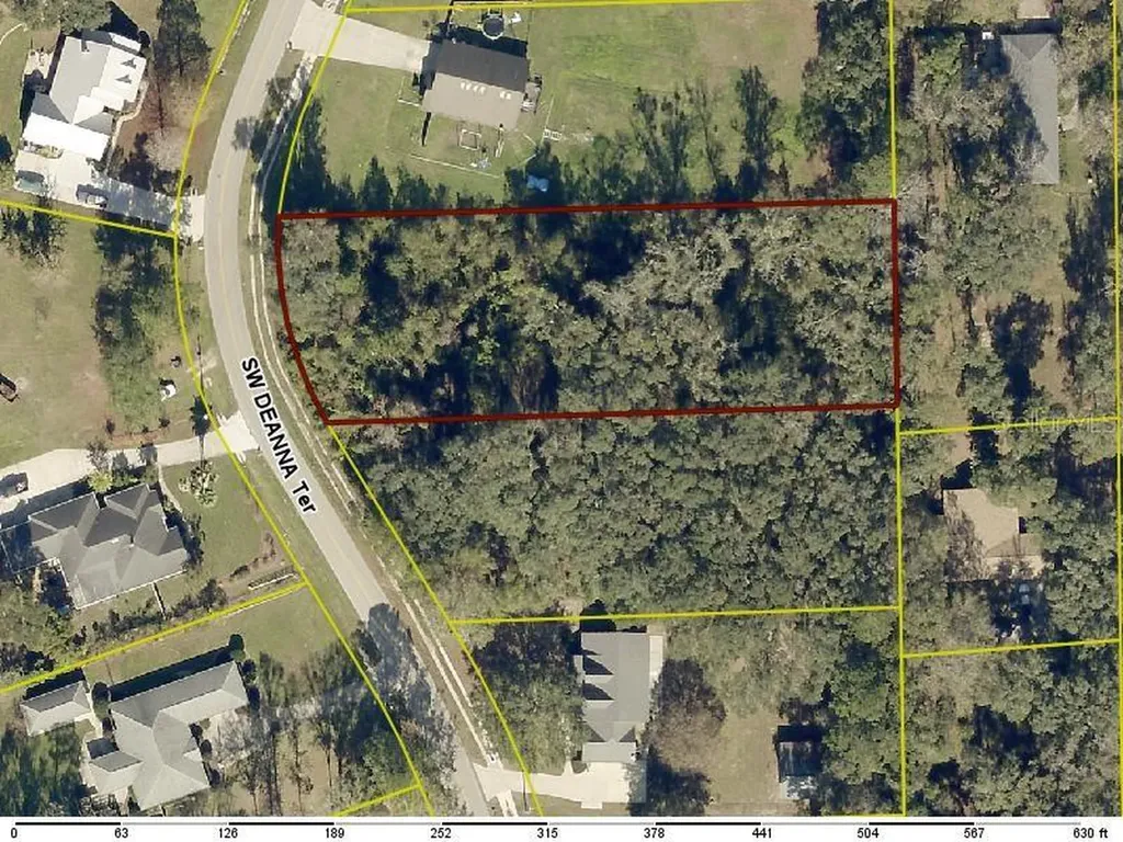 311 SW Deanna Terrace Lake City FL 32025