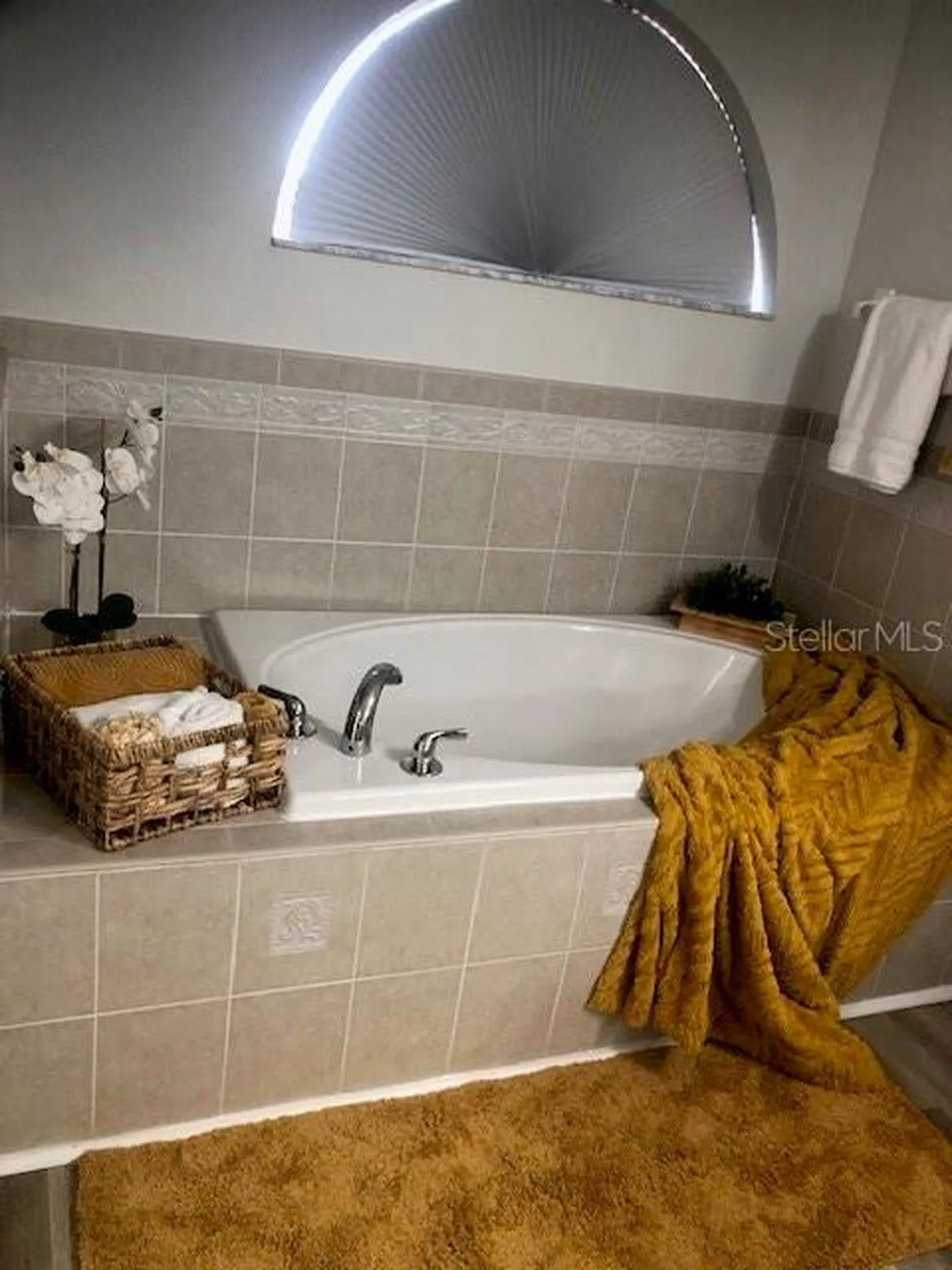 18937 Quarry Badger Road Land O Lakes FL 34638