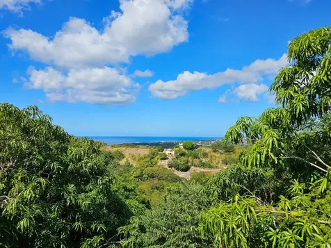 Road 115 Anasco PR 00610