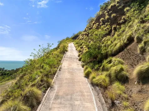 Road 115 Anasco PR 00610