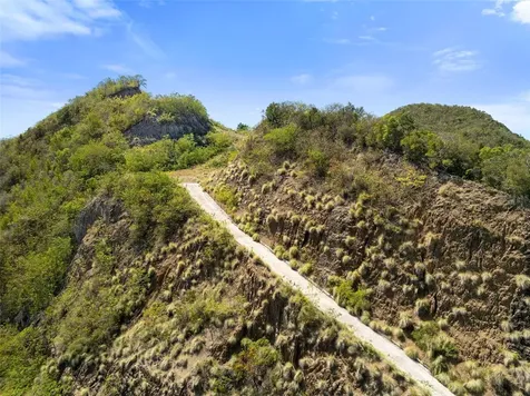 Road 115 Anasco PR 00610