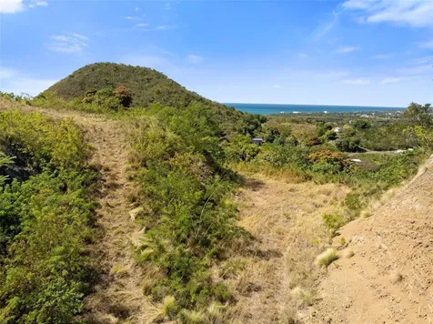 Road 115 Anasco PR 00610