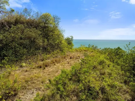 Road 115 Anasco PR 00610