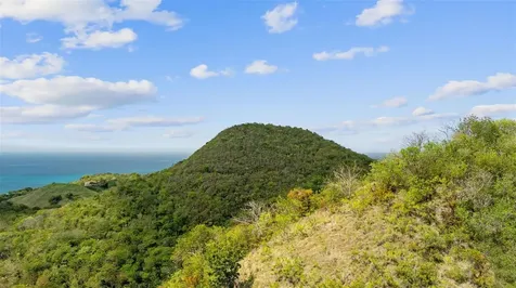 Road 115 Anasco PR 00610