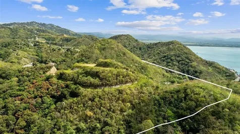 Road 115 Anasco PR 00610