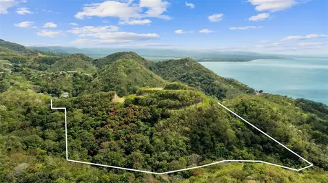 Road 115 Anasco PR 00610