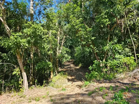 Road 115 Anasco PR 00610