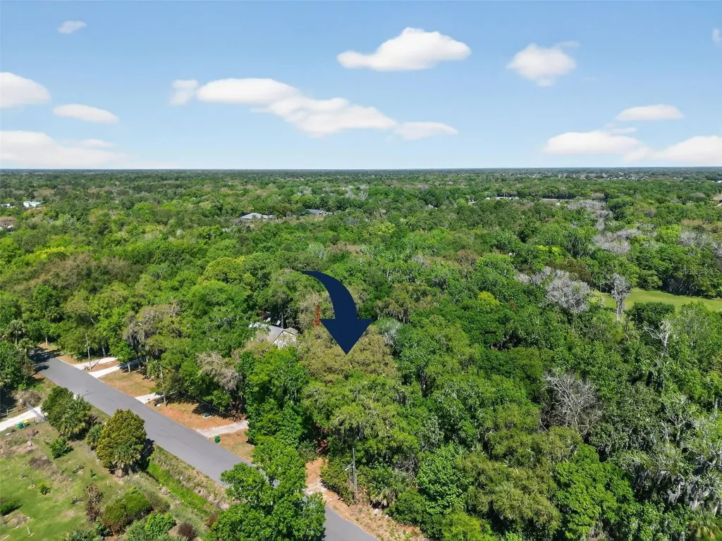 3380 Lionel Road Mims FL 32754