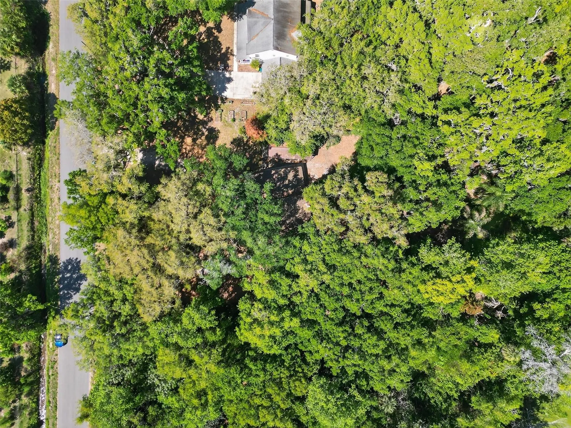 3380 Lionel Road Mims FL 32754
