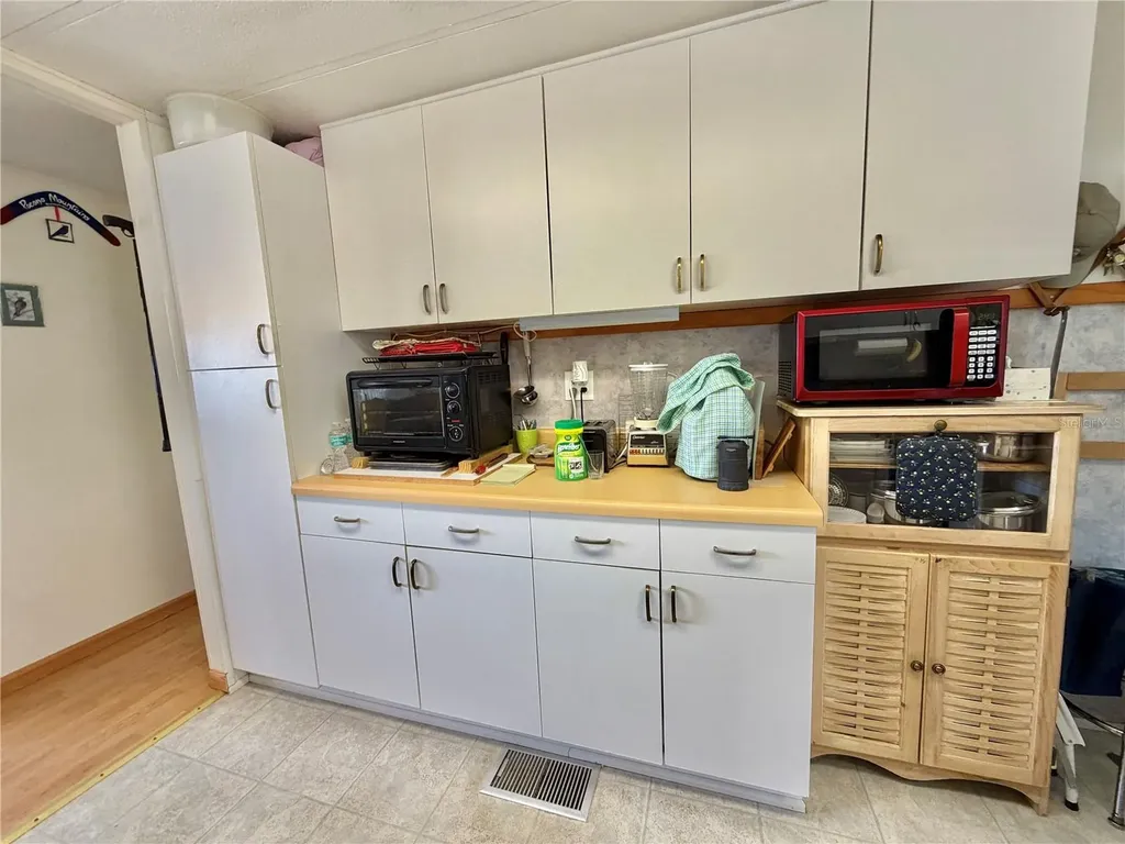 167 Jacaranda Drive Leesburg FL 34748