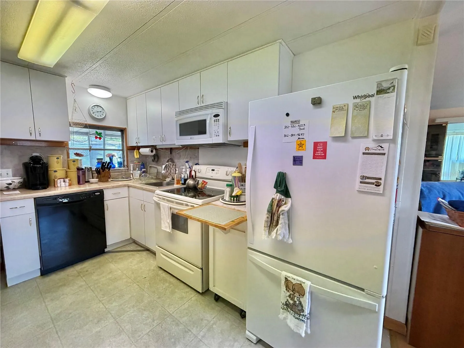 167 Jacaranda Drive Leesburg FL 34748