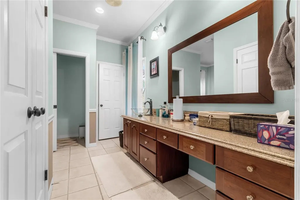 10002 Hunt Cliff Drive Riverview FL 33569