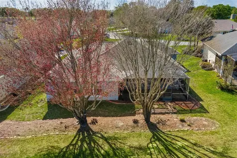 11614 SE 172nd Loop Summerfield FL 34491