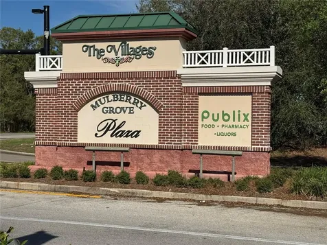 9100 SE 170th Fontaine Street The Villages FL 32162