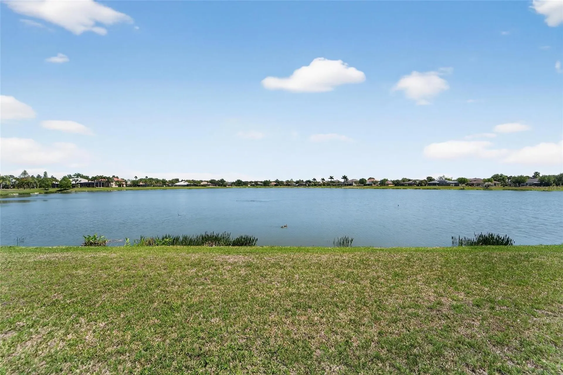 5325 Sandy Shell Drive Apollo Beach FL 33572